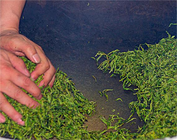 茶葉加工