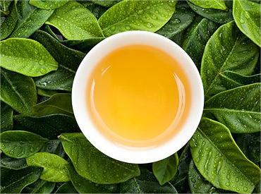 西湖龍井開(kāi)采還要再等等，頭茶產(chǎn)量可能會(huì)受影響